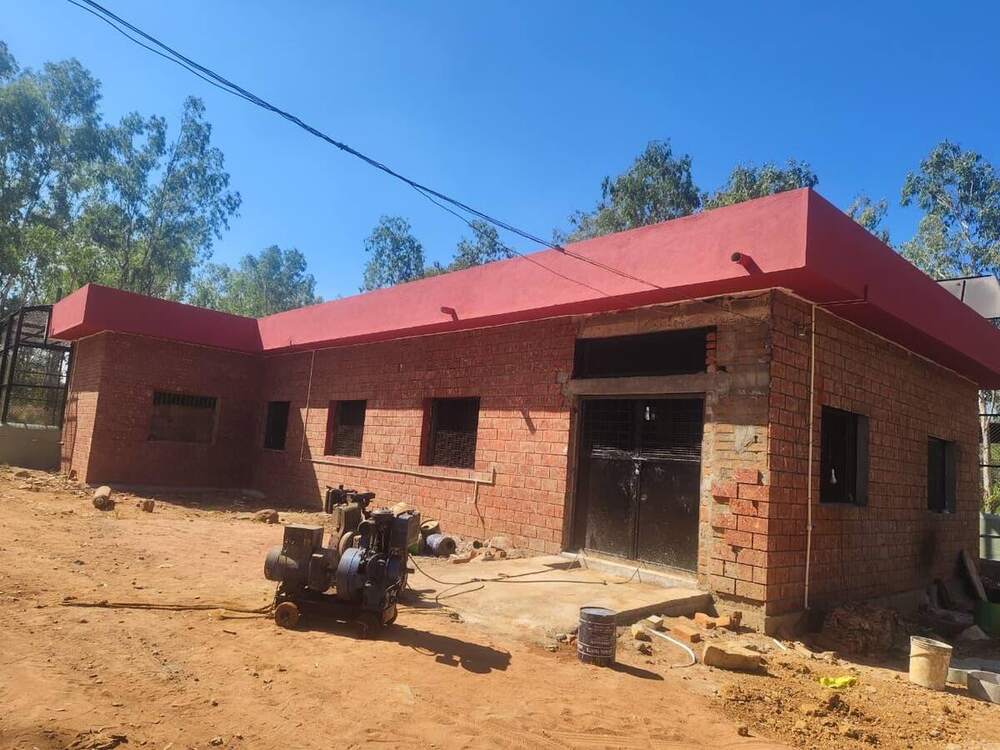 Tiger holding room block in brick with red roof band
